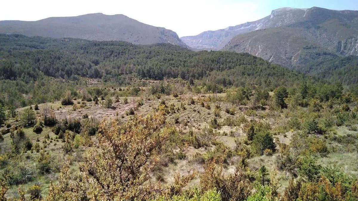 Controversia en o Parque natural de ra Sierra y ras Foces de Guara: Criticas a ra nueva carretera a traviés de ro Parque Natural